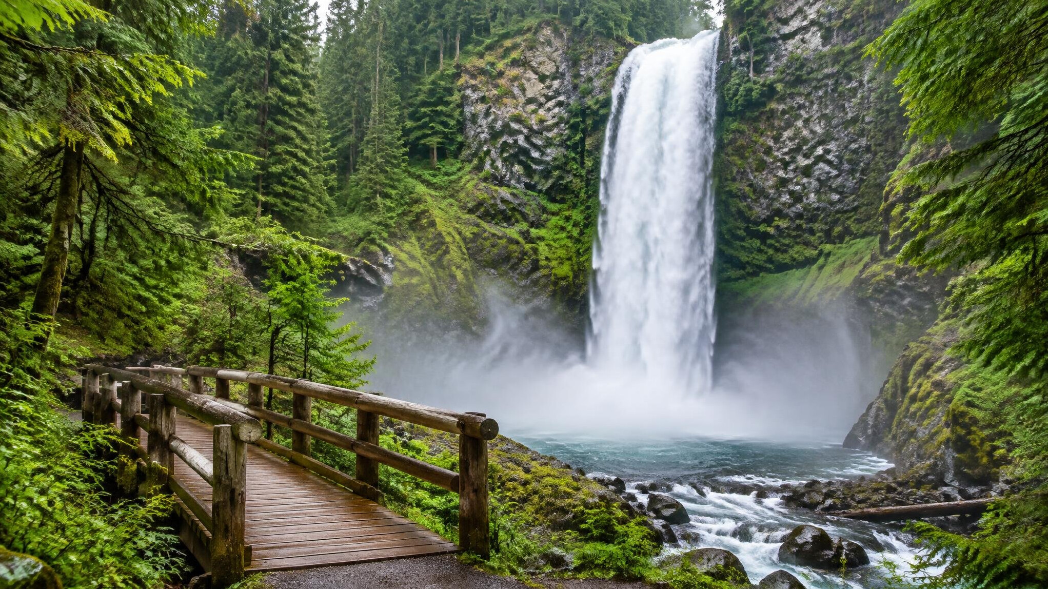 Tall waterfall in a lush green national park forest